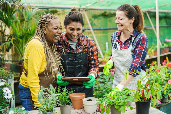 Gardening Thru The Seasons