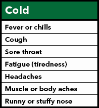 Fever or feverish, chills, cough, sore throat, fatigue, headaches, muscle or body aches, runny or stuffy nose