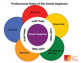 Graph of Prefessional Roles of the Dental Hygienist