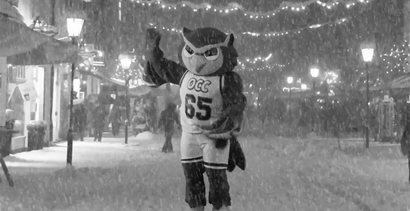 Talon in Holiday Video